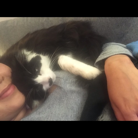 Meet your Posher, Nari - Picture 1 of 1